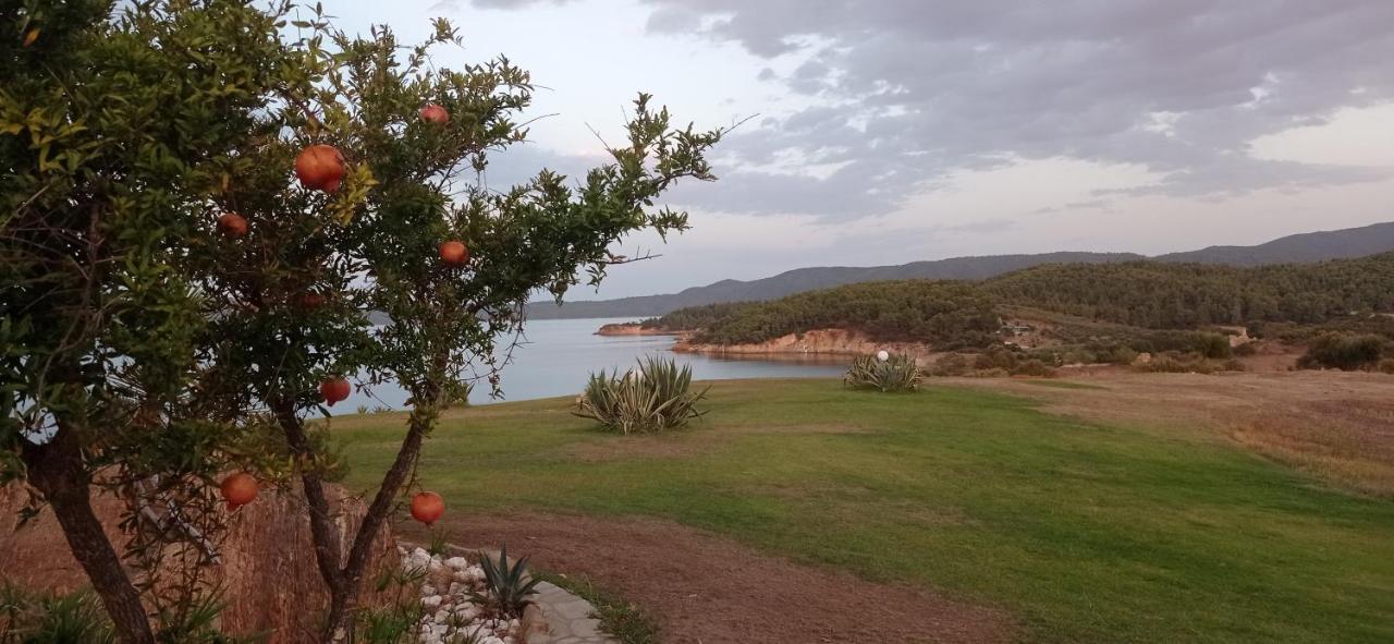 Iviritiko Holiday home Nea Roda
